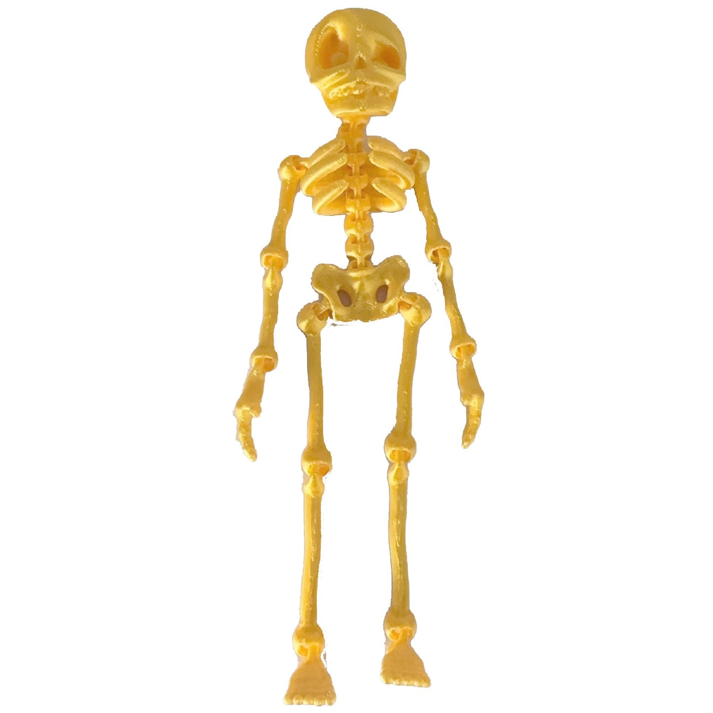 π Skeleton Refrigerator Magnet