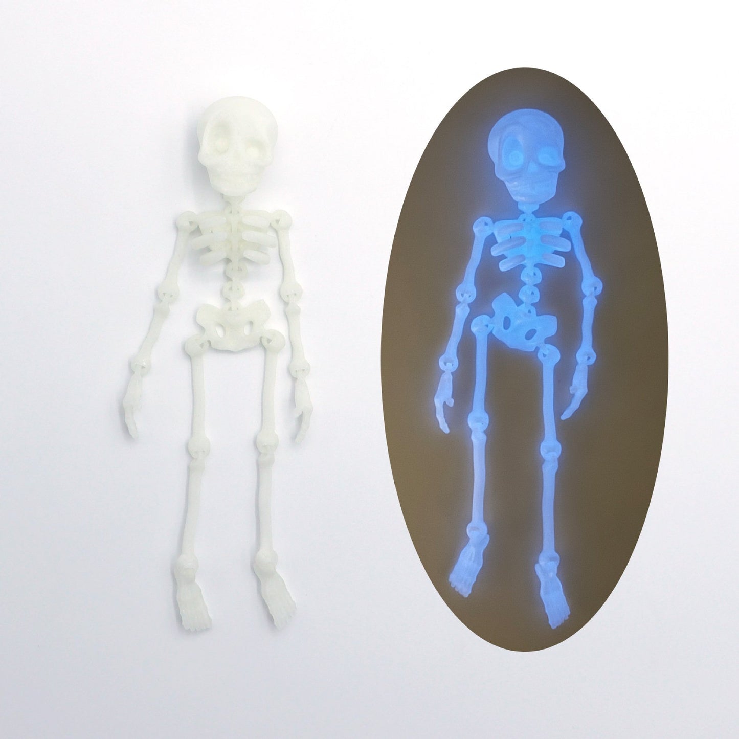 💀 Skeleton Refrigerator Magnet